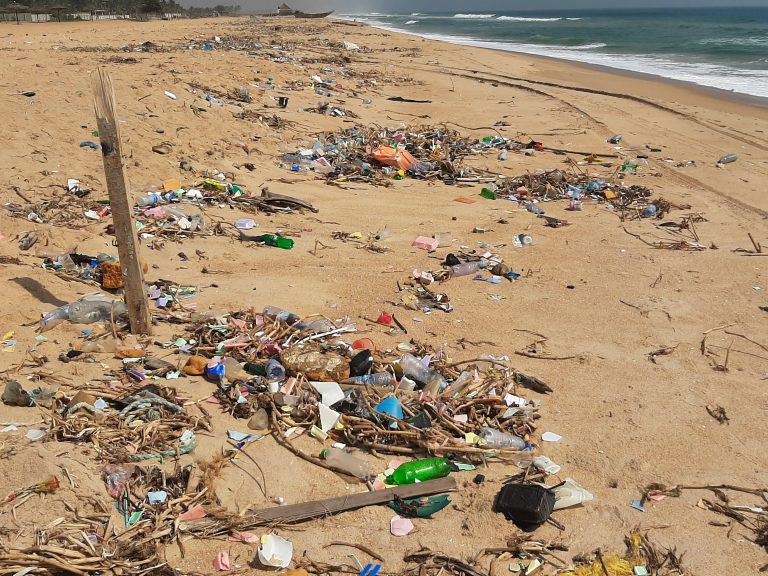 beach rubbish