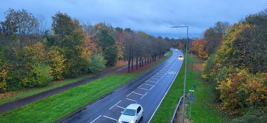 A Road in Autumn